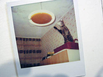 carmen westermeier bemberle 01 polaroid